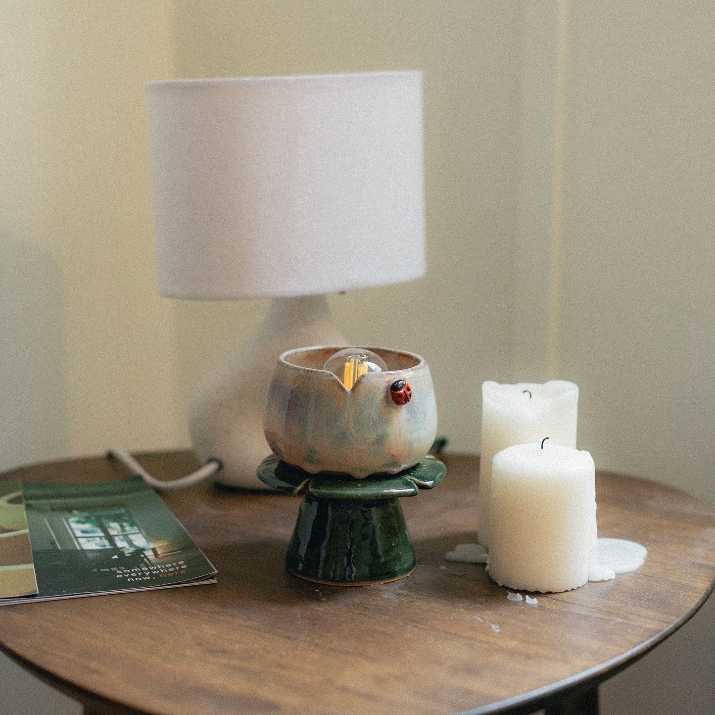 Kimchi Bud w Ladybug Lamp