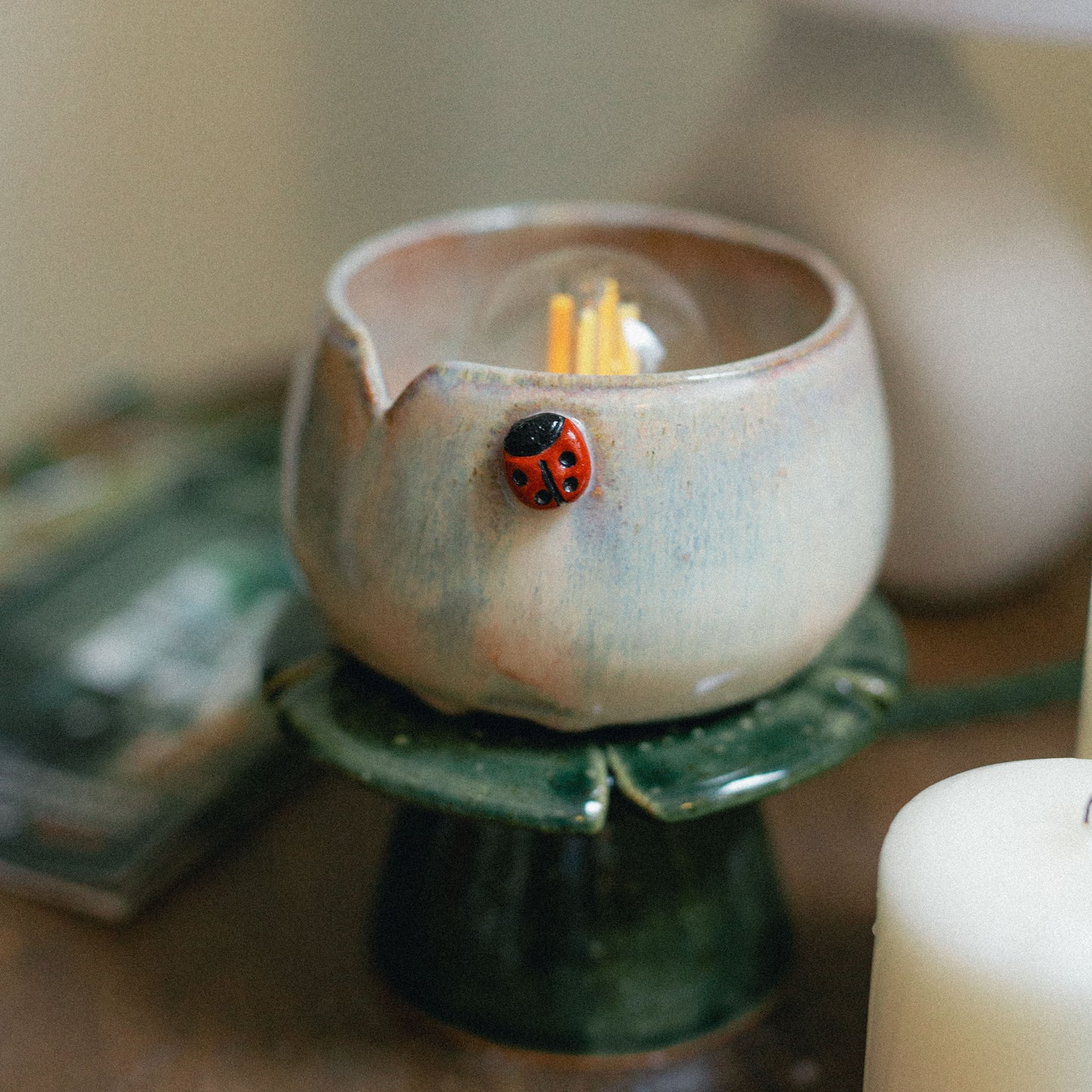 Kimchi Bud w Ladybug Lamp